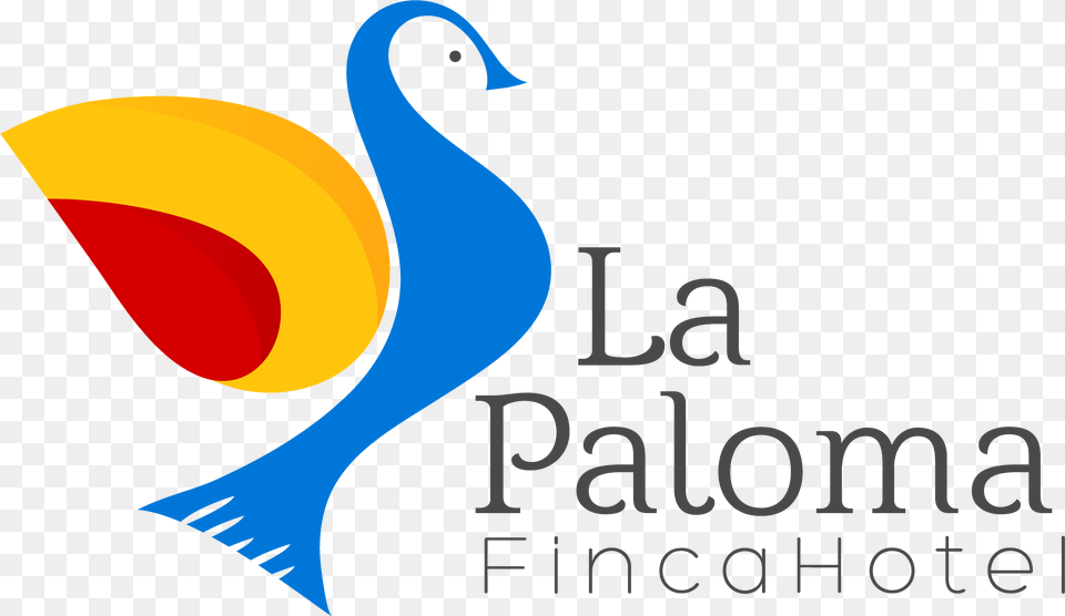 Paloma Blanca Transparent Image Duck, Animal, Art, Bird, Waterfowl Png