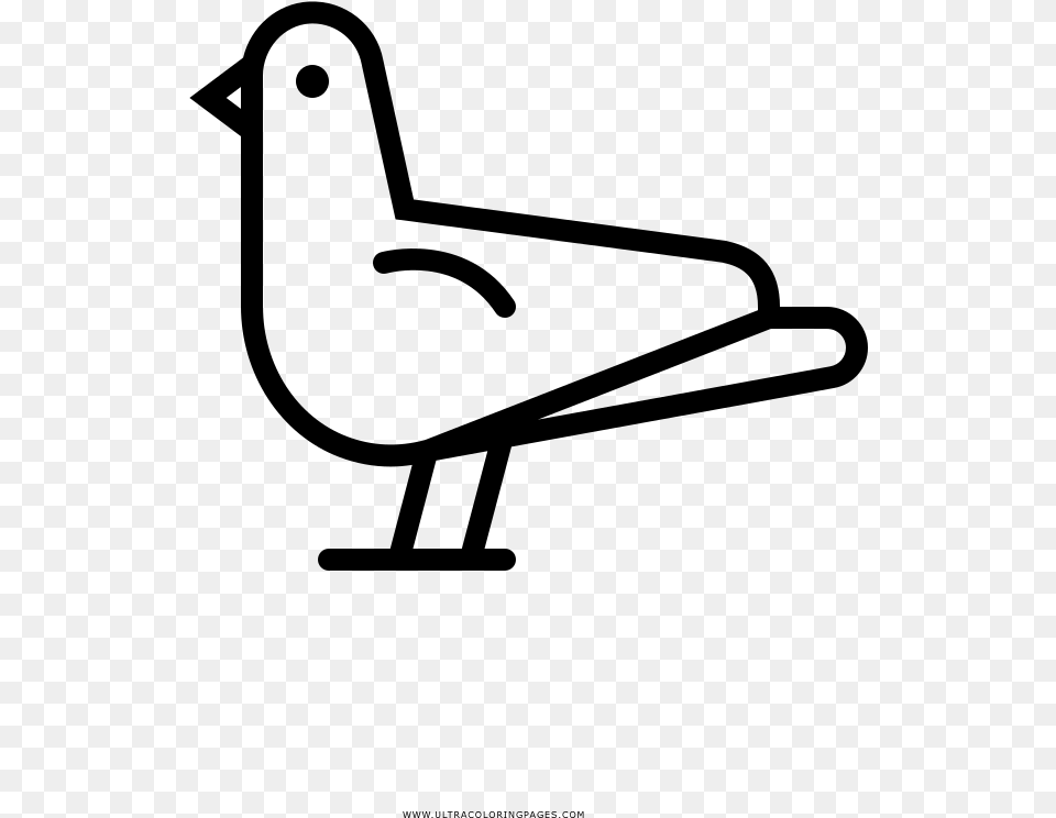 Paloma Pgina Para Colorear Duck, Gray Free Png Download