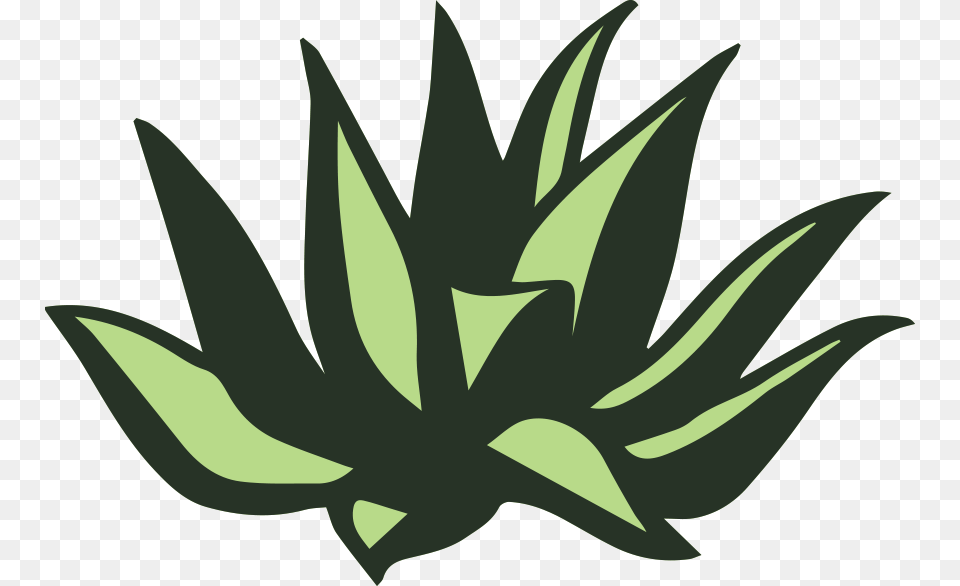 Palomas Blancas, Aloe, Green, Plant, Animal Free Transparent Png