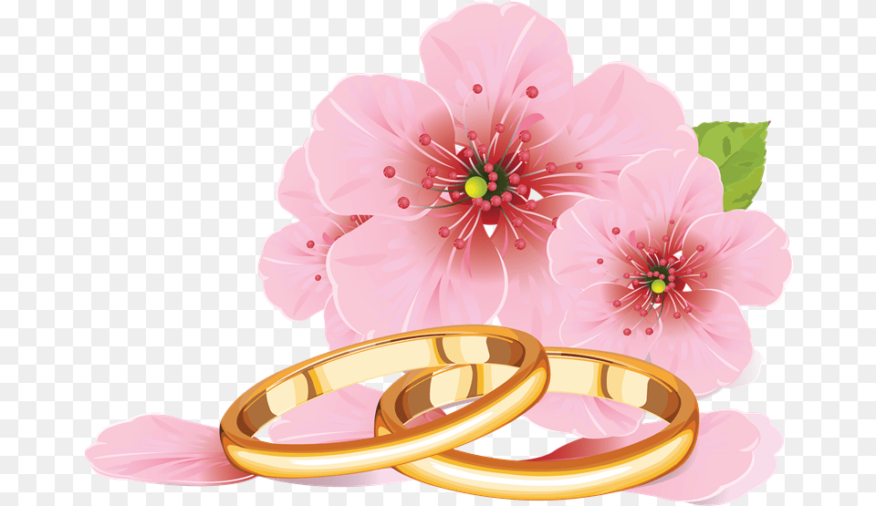 Palomas Con Anillos De Boda Cherry Blossom Flower Drawing, Accessories, Jewelry, Plant, Ring Png