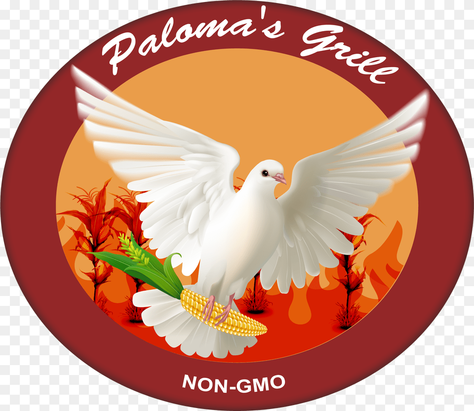 Palomas Grill Church Of Scotland Guild, Animal, Bird, Pigeon, Dove Free Transparent Png