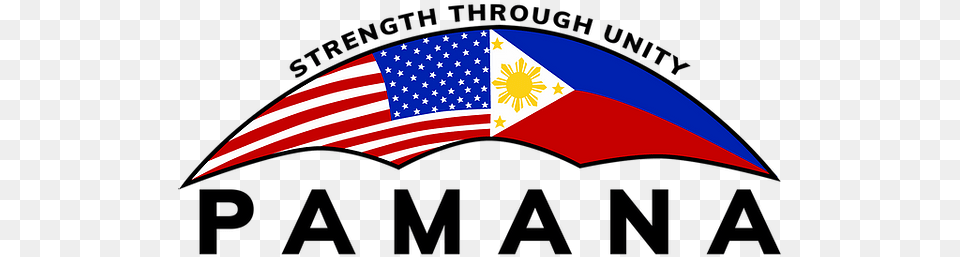 Pamana Inc New England Filipino Community American, Toy, Flag, American Flag Free Png