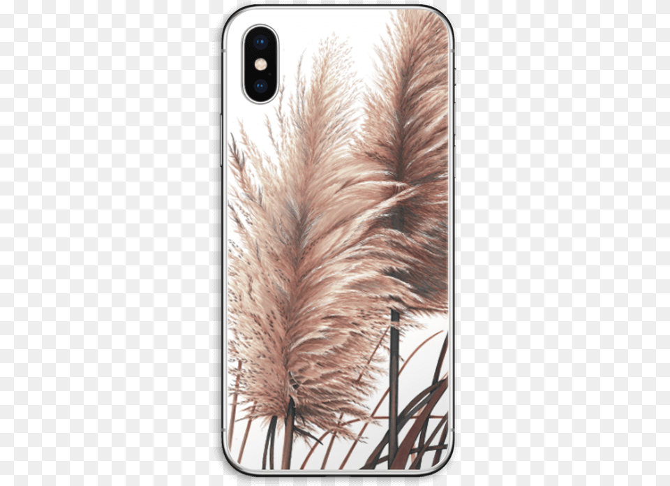 Pampas Grass Skin Iphone Xs Pampas Grass High Res, Reed, Plant, Phone, Electronics Free Png Download
