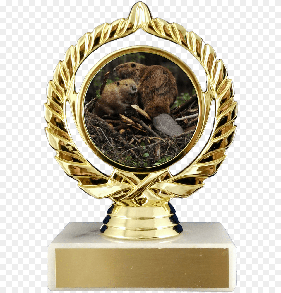 Pancake Award, Animal, Mammal, Rat, Rodent Png