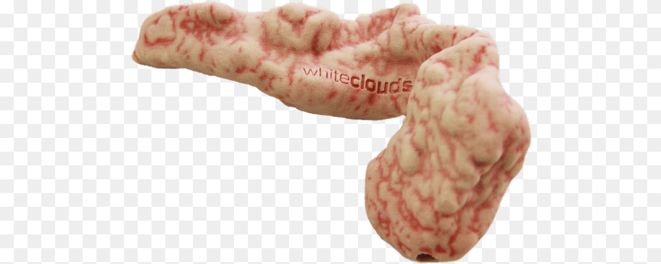 Pancreas 3d Printing Free Transparent Png