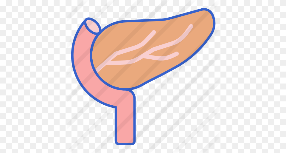 Pancreas Free Medical Icons Meat, Food, Sweets, Smoke Pipe Png