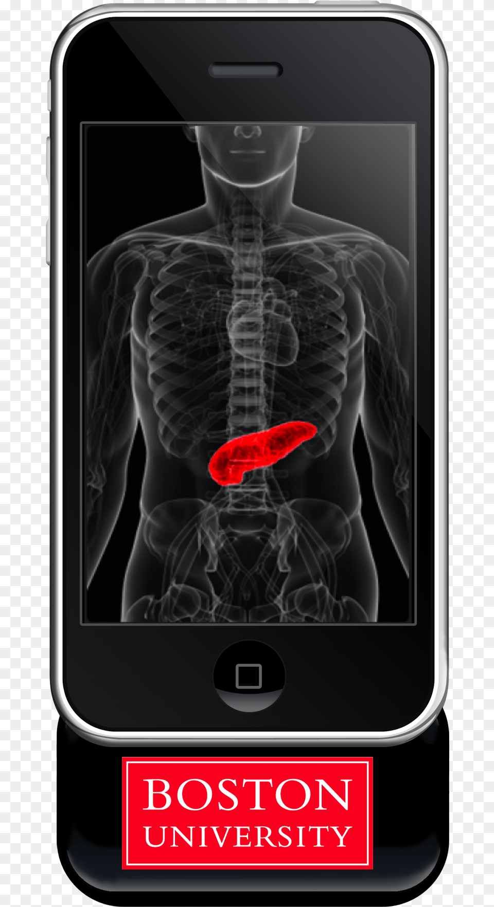 Pancreas Phone Advances In Liver Transplantation Book, Adult, Male, Man, Person Free Png