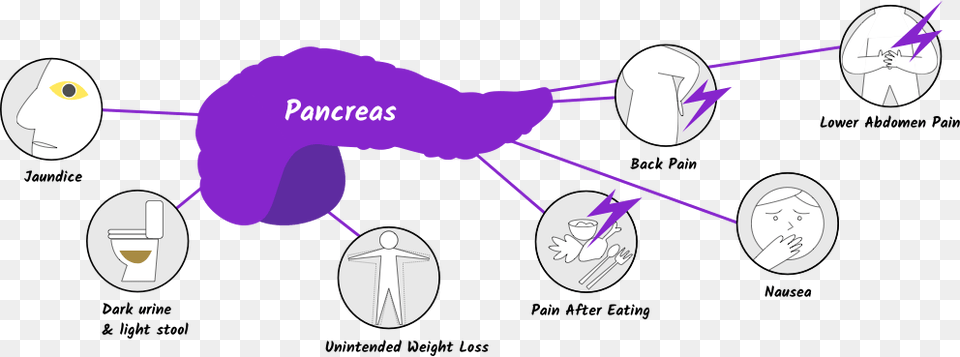 Pancreatic Cancer Symptoms, Nature, Night, Outdoors, Face Free Png Download