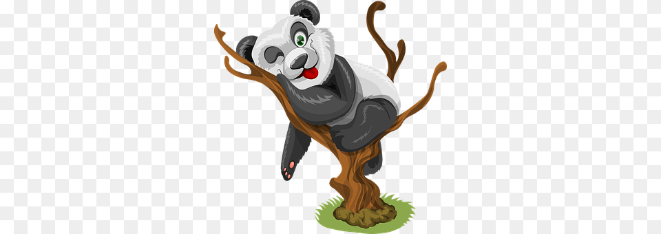 Panda Animal, Wildlife, Mammal, Adult Free Png