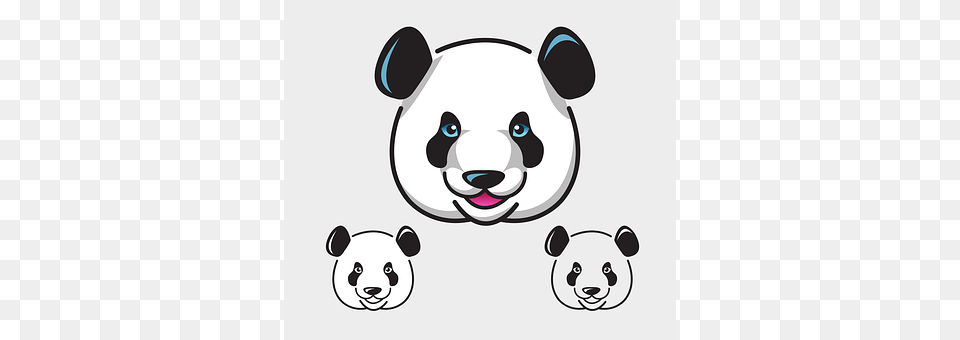 Panda Animal, Mammal Free Transparent Png