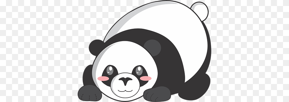 Panda Animal, Mammal, Bear, Giant Panda Png