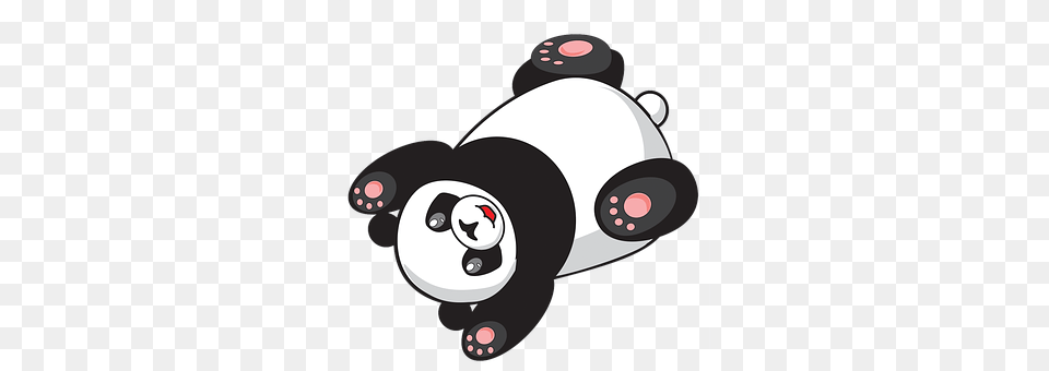 Panda Animal, Bear, Giant Panda, Mammal Png