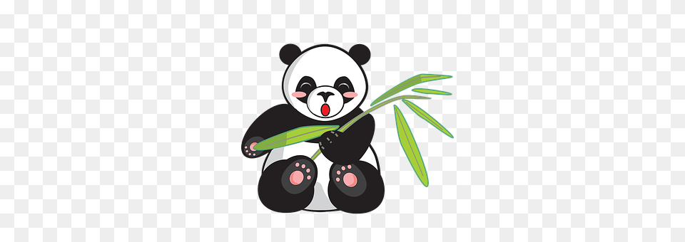 Panda Outdoors, Winter, Nature, Snow Free Png