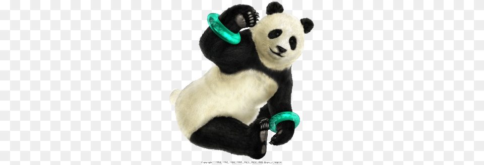 Panda, Animal, Bear, Giant Panda, Mammal Png
