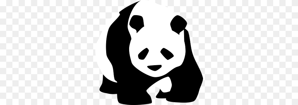 Panda Stencil, Baby, Person, Face Free Png Download