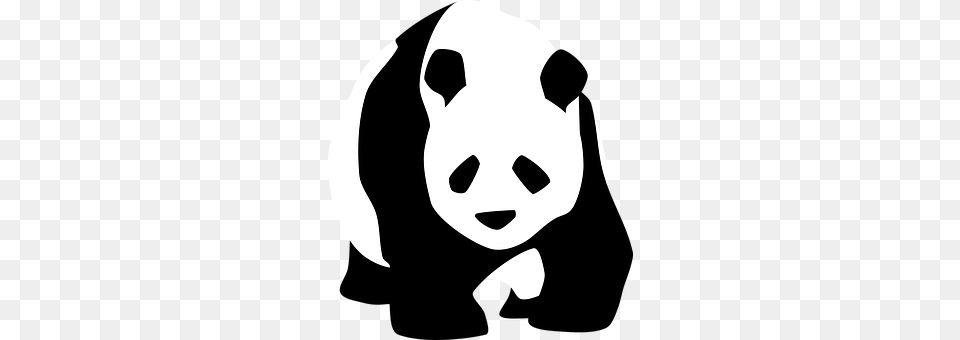 Panda Stencil, Baby, Face, Head Free Png Download