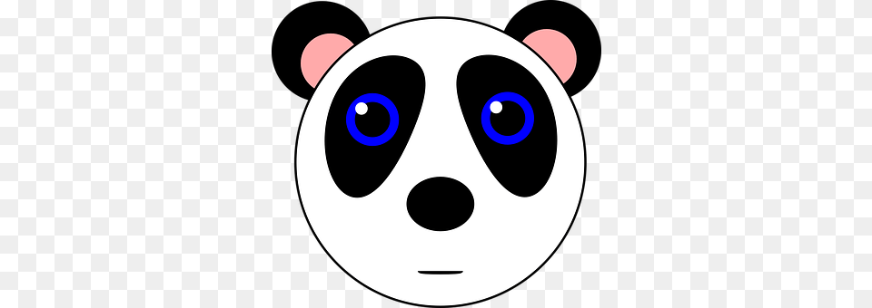 Panda Disk Free Transparent Png