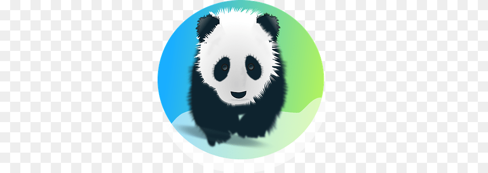 Panda Animal, Bear, Giant Panda, Mammal Free Png Download