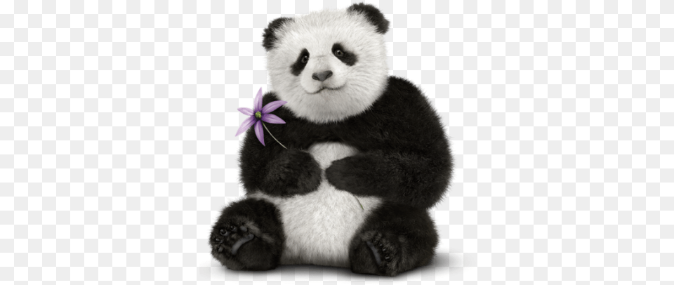 Panda Background With A Flower Transparentpng Transparent Real Panda, Animal, Bear, Mammal, Wildlife Free Png Download