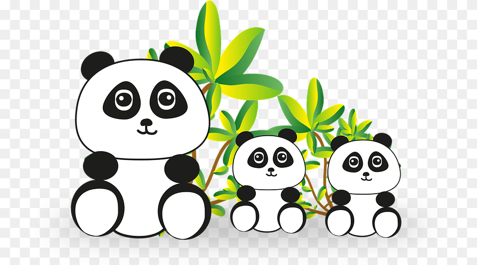 Panda Bear Algorithm Panda 2018, Green, Plant, Potted Plant, Leaf Png Image