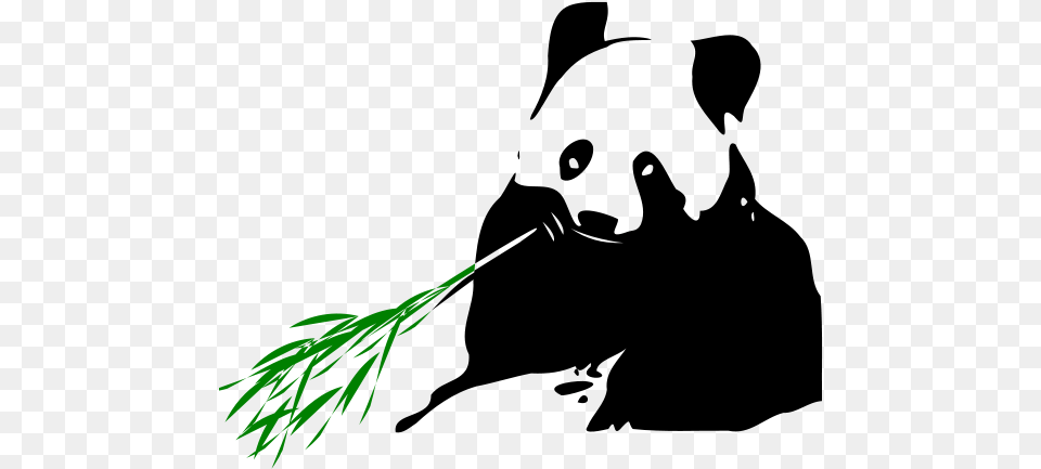 Panda Bear Panda Eating Bamboo Transparent, Dill, Food, Plant, Seasoning Png
