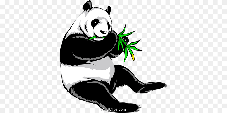 Panda Bear Royalty Vector Clip Art Illustration, Animal, Mammal, Wildlife, Giant Panda Png