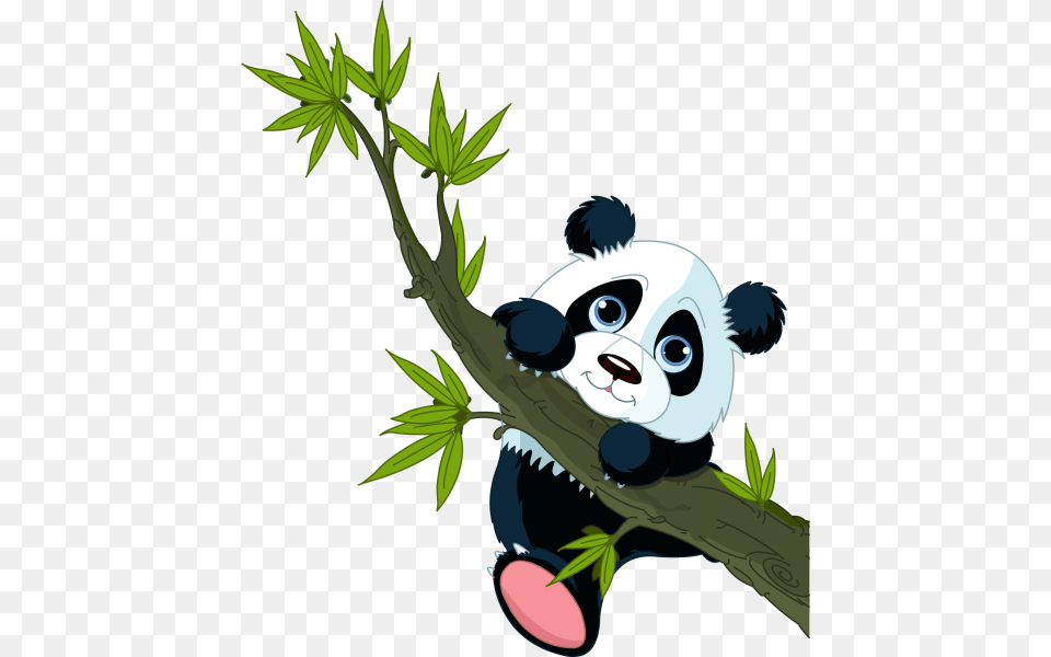 Panda Bears Cartoon Animal Images To All Bears Clip, Plant, Leaf, Wildlife Png Image