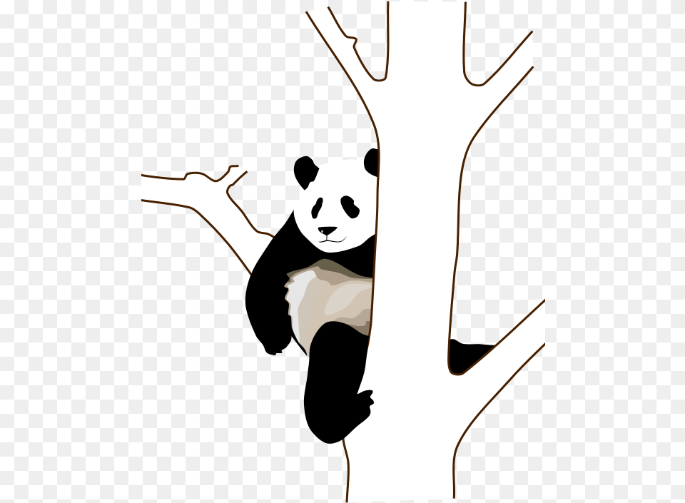 Panda Clip Art, Stencil, Person, Animal, Wildlife Free Png
