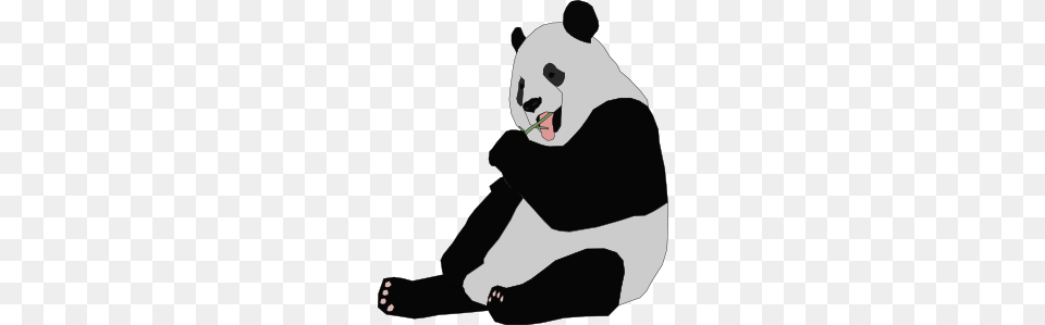 Panda Clip Art Vector, Animal, Bear, Giant Panda, Mammal Free Png Download