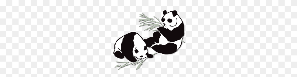 Panda Clipart Chinese Food, Stencil, Animal, Baby, Person Png
