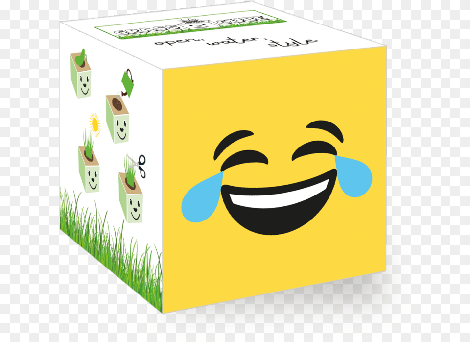 Panda Cube, Box, Cardboard, Carton, Face Free Transparent Png