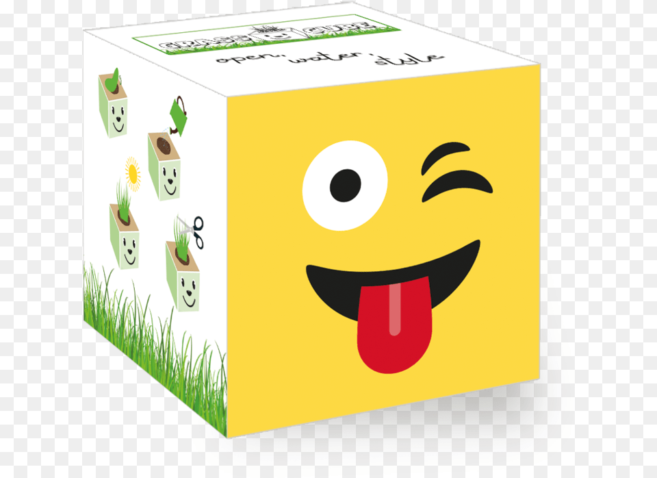 Panda Cube, Box, Cardboard, Carton, Package Free Png