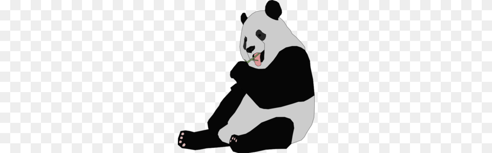 Panda Eating Clip Art, Animal, Wildlife, Adult, Female Png Image
