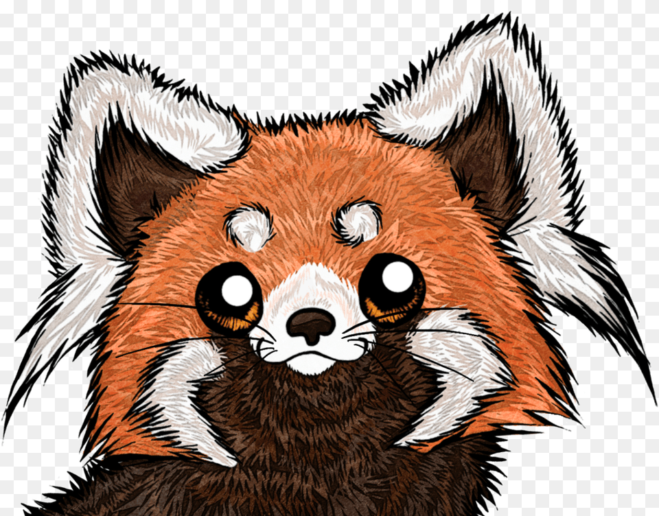 Panda Face Drawing At Getdrawings Red Panda Face Drawing, Animal, Bird, Wildlife, Mammal Free Png