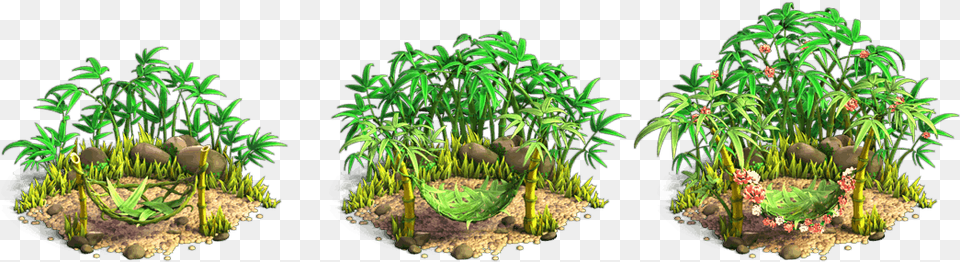 Panda Forest Stages Tree, Water, Herbal, Moss, Plant Free Png Download