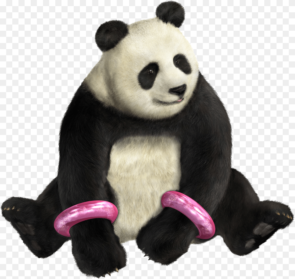 Panda Free Download Tekken Girl With Panda, Animal, Bear, Giant Panda, Mammal Png Image