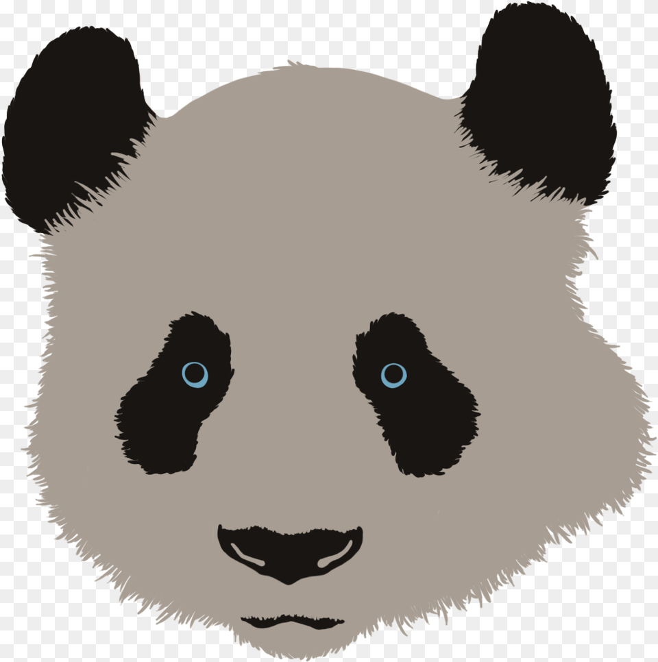 Panda Head, Animal, Mammal, Bird, Bear Png Image
