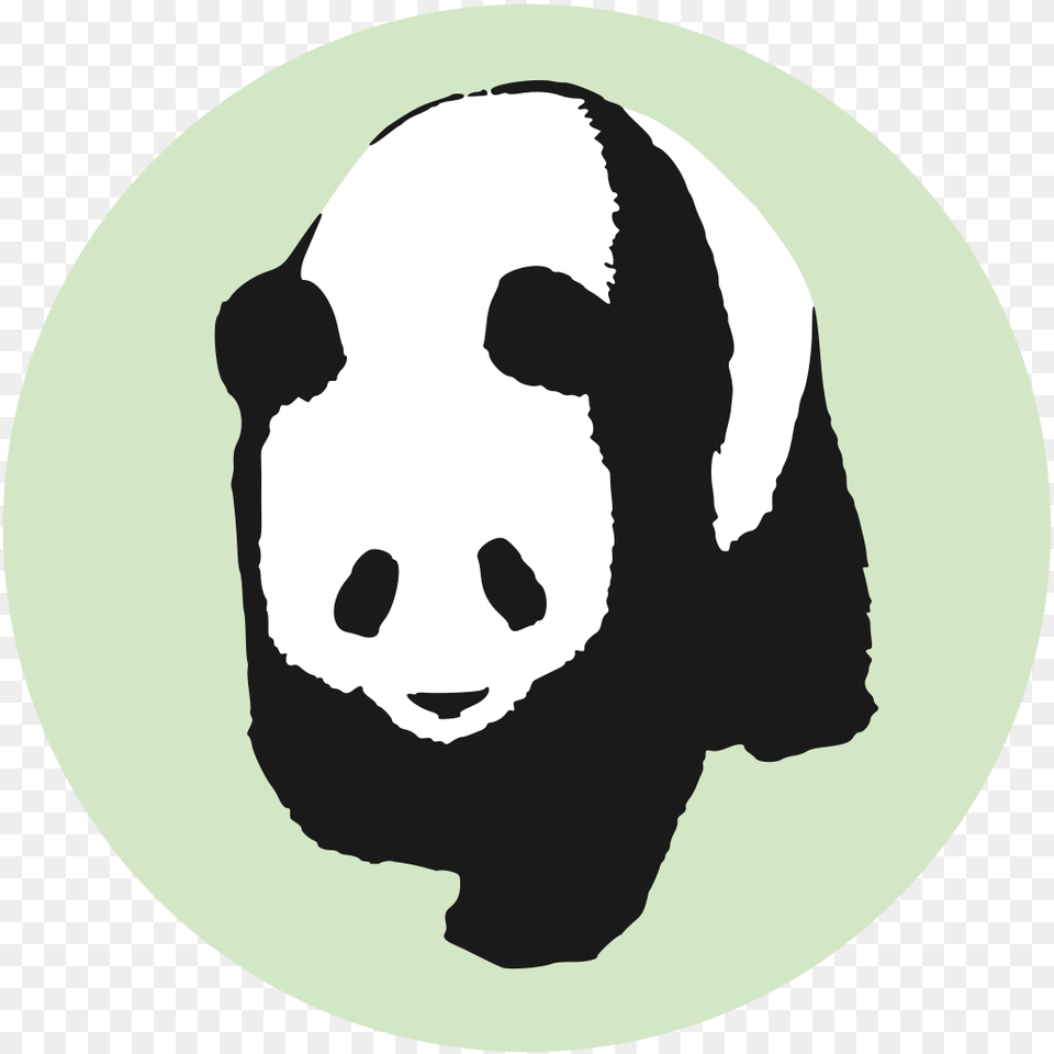 Panda Icon, Stencil, Baby, Person, Animal Png