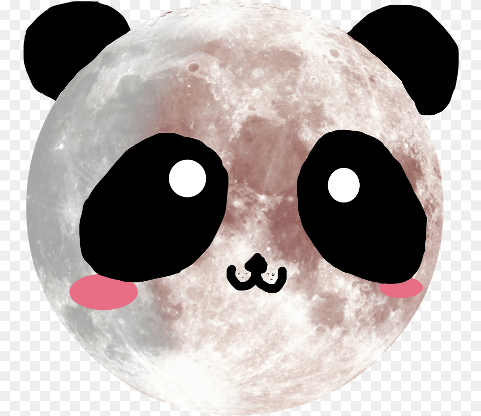 Panda Kawaii Cute Moon Luna Cuqui Pandalove Full Moon Hi Def, Astronomy, Outdoors, Night, Nature Png
