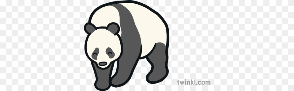 Panda Map Icon Chinese Animal Mammal Endangered Eyfs Animal Figure, Wildlife, Canine, Dog, Pet Free Png