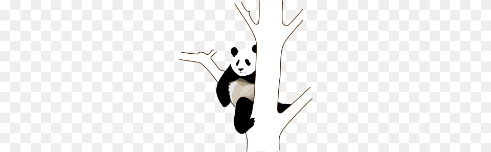 Panda On A Tree Clip Art, Animal, Wildlife, Mammal, Bear Free Transparent Png