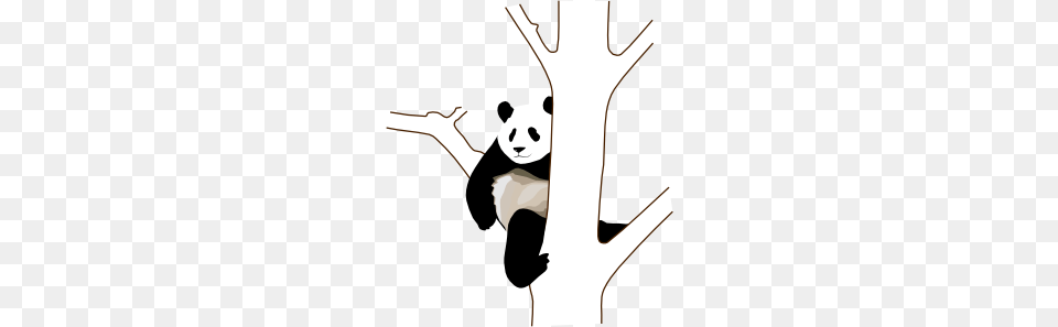 Panda On A Tree Clip Art Wood Burning Wood Burning, Animal, Wildlife, Mammal, Bear Free Png Download