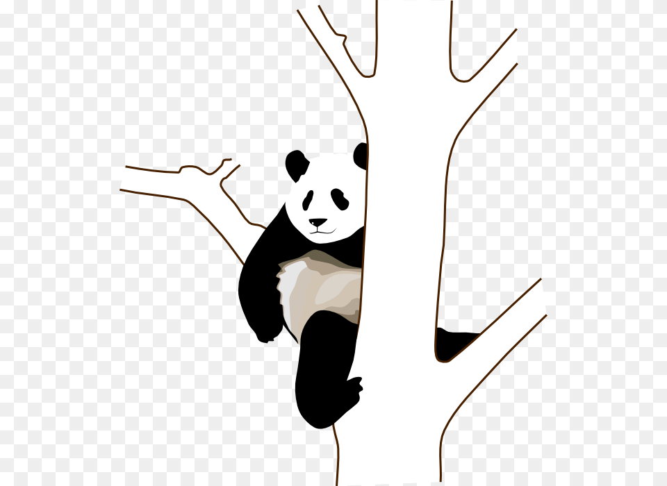 Panda On A Tree Clipart Panda Clip Art, Stencil, Animal, Wildlife, Mammal Png Image