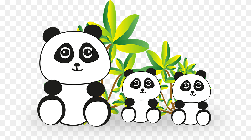 Panda Panda Bear Bear Endangered China Lp Dn Miu T Mt Cnh P A Phng Em, Green, Plant, Potted Plant, Leaf Free Transparent Png