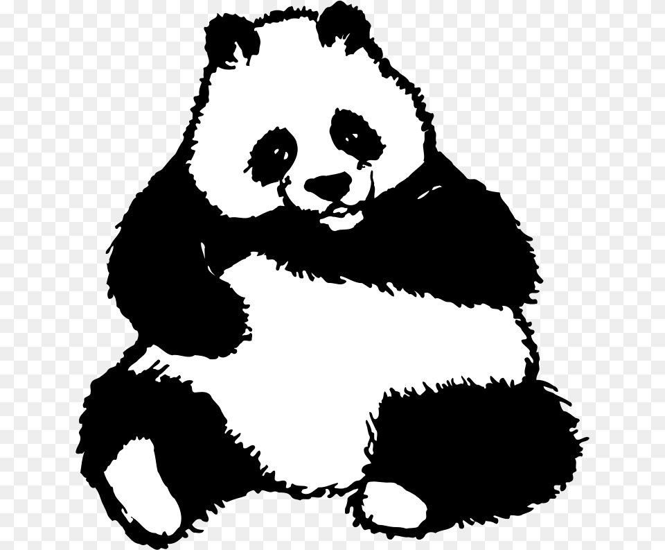 Panda Panda Bear Clipart Black And White, Stencil, Baby, Person, Face Free Png