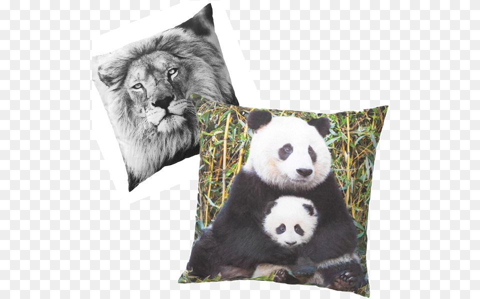 Panda Puzzle, Cushion, Home Decor, Animal, Bear Free Transparent Png