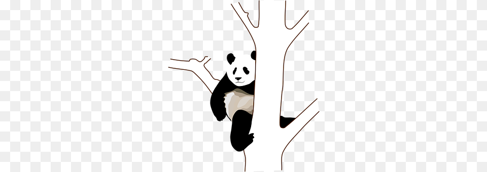 Panda Tree Branch Sitting Climb Panda Pics, Person, Stencil, Animal, Wildlife Free Png Download