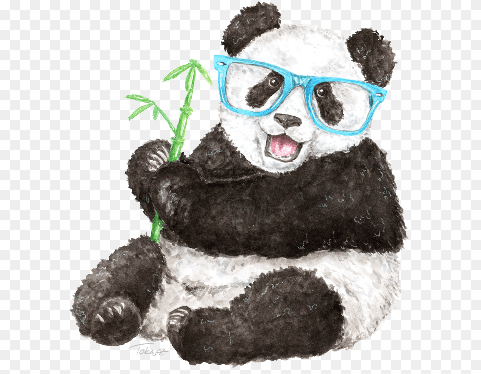 Panda Watercolor Hipster Watercolor Panda Accessories, Glasses, Baby, Person Free Transparent Png