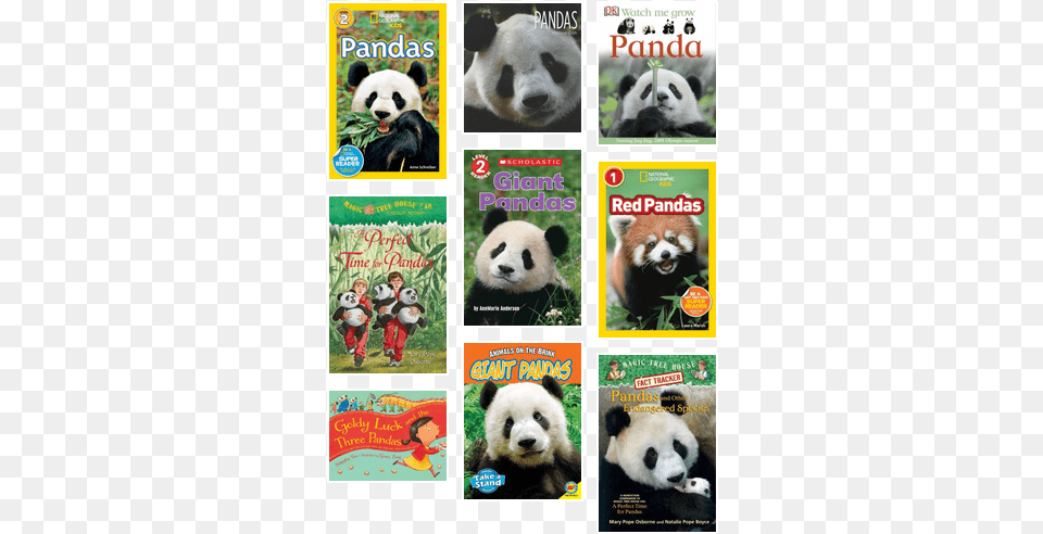 Pandas Grades K 5 Perfect Time For Pandas Magic Tree House Merlin Mission, Animal, Mammal, Giant Panda, Bear Free Png Download