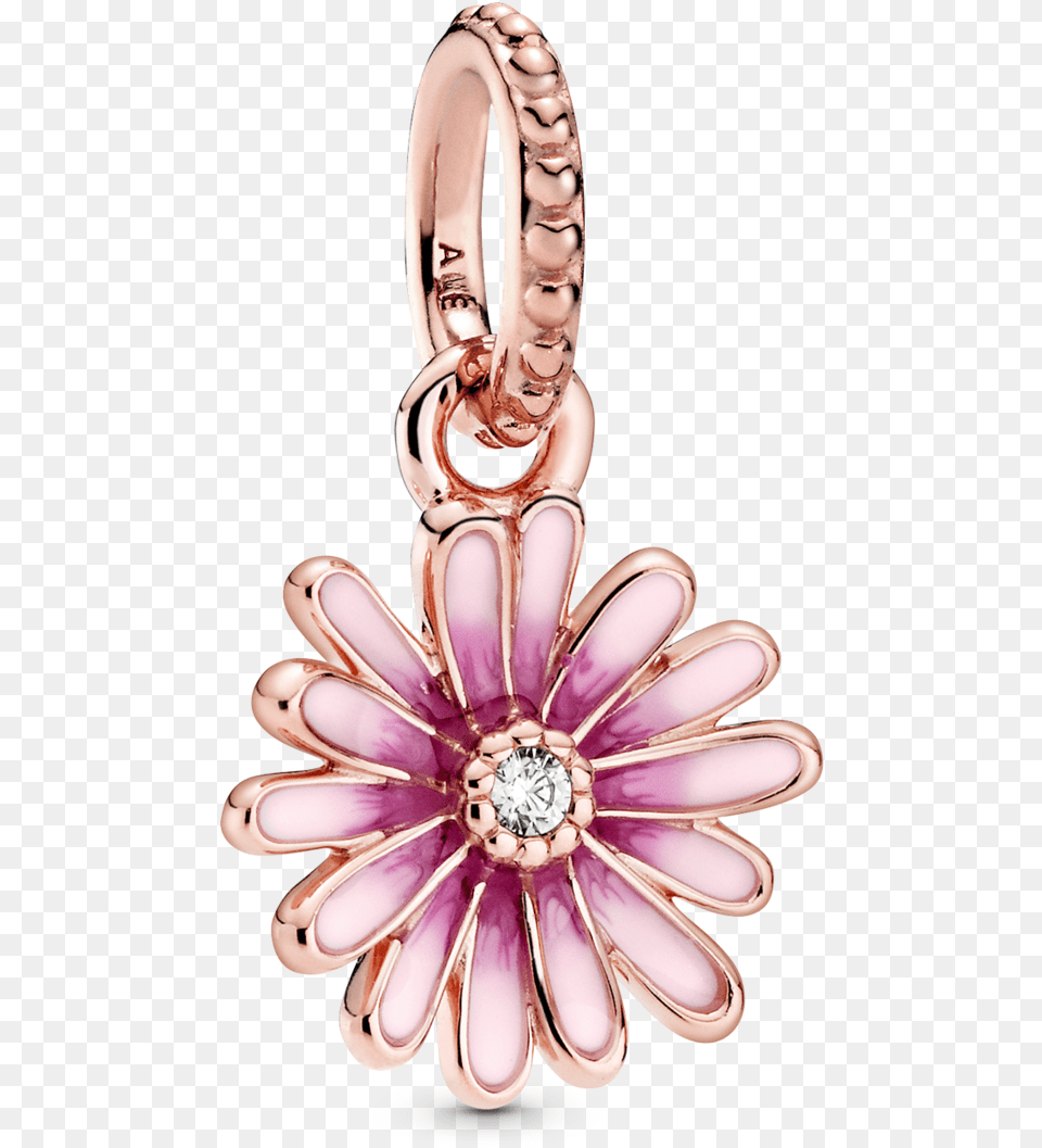 Pandora Title Tag Pandora Pink Daisy Charm, Accessories, Earring, Jewelry Png